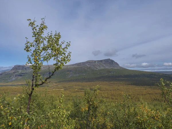 瑞典拉普兰萨莱克国家公园美丽的野生自然环境，有白雪覆盖的山峰、河流和湖泊、桦树和云杉林。 初秋的色彩，蓝天白云. — 图库照片