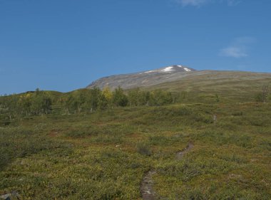 Sanjartjakka Dağı 'nın zirvesine giden patikada huş ağacı ormanlarıyla dolu vahşi Laponya manzarası var. Mavi gökyüzü arkaplanı
