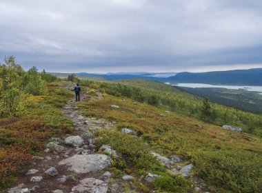 Kungsleden Yolu 'nda dağ, nehir ve göl, huş ağacı ve ladin ağaçlarıyla İsveç Laponya Sarek' in doğasına hayran kalan bir adam. Sonbaharın ilk renkleri, mavi gökyüzü beyaz bulutlar.