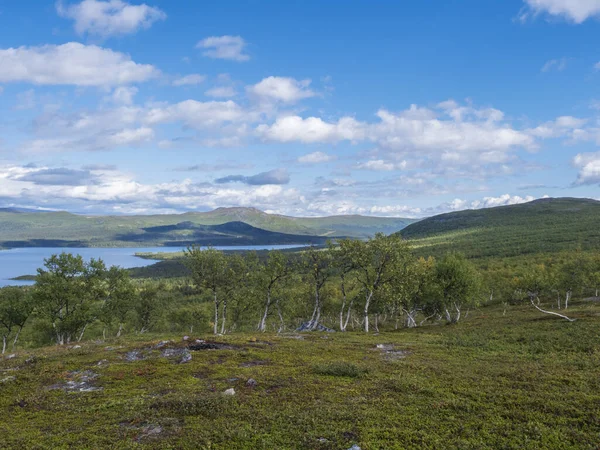 Laponská krajina s krásnou řekou Lulealven, zasněžená hora, bříza a pěší stezka Kungsanů turistická stezka u Saltoluokta, severně od Švédska divoká příroda. Letní modré nebe — Stock fotografie