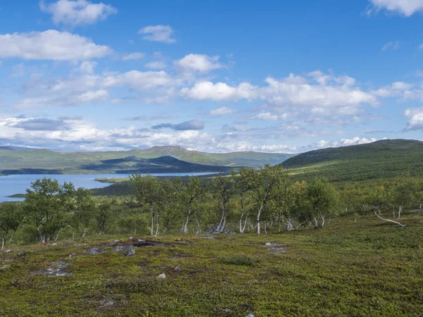 Lappföldi táj gyönyörű folyó Lulealven, hó sapkás hegy, nyírfa és gyalogút Kungsleden túraútvonal közelében Saltoluokta, Észak-Svédország vad természet. Nyári kék ég — Stock Fotó