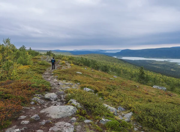 Hombre mochila excursionista en el sendero Kungsleden admirar la naturaleza de Sarek en Suecia Laponia con montañas, río y lago, abedul y abeto bosque de árboles. Primeros colores otoñales, cielo azul nubes blancas . —  Fotos de Stock