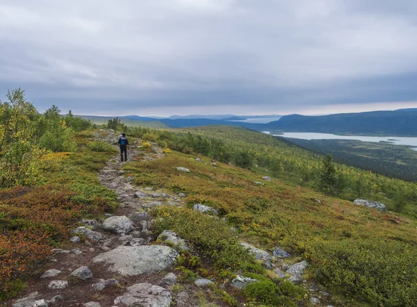 Kungsleden Yolu 'nda dağ, nehir ve göl, huş ağacı ve ladin ağaçlarıyla İsveç Laponya Sarek' in doğasına hayran kalan bir adam. Sonbaharın ilk renkleri, mavi gökyüzü beyaz bulutlar.