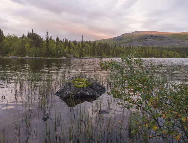 Atardecer rosa anaranjado sobre el lago Sjabatjakjaure en Parte en Suecia Laponia. Montañas, abedules, abetos, rocas y hierba. Cielo, nubes y agua clara . —  Fotos de Stock