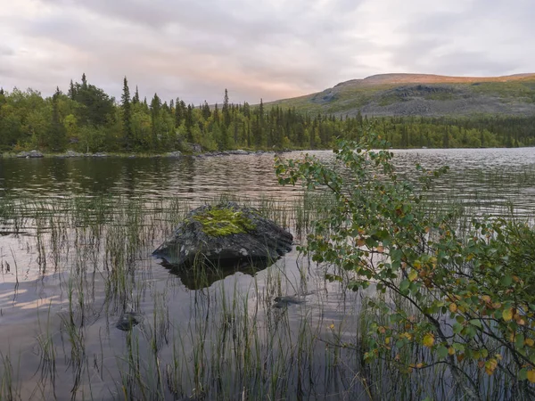 スウェーデンのラップランドにあるParteのSjabatjakjaure湖の上にオレンジ色のピンクの夕日。山、白樺の木、トウヒの森、岩の岩や草。空と雲と澄んだ水. — ストック写真