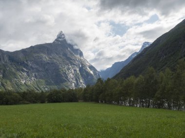 Avrupa 'nın en yüksek dikey dağı olan Trolltindene Dağı, Trol Duvarı Trollveggen, Romsdal Vadisi, Norveç. Yeşil çimenler, mavi gökyüzü beyaz bulutlar. Yaz seyahati manzarası.