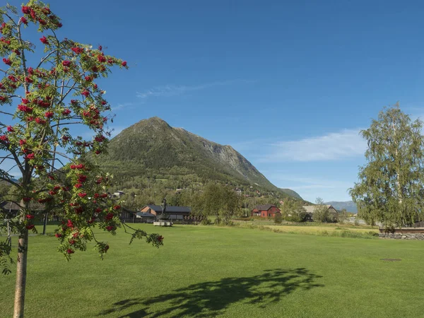 Lom, Noruega, 8 de septiembre de 2019: vew on houses of village Lom with geen grass, hills and rowan tree. Principios del otoño, día soleado, cielo azul. Vacaciones de viaje en Noruega — Foto de Stock
