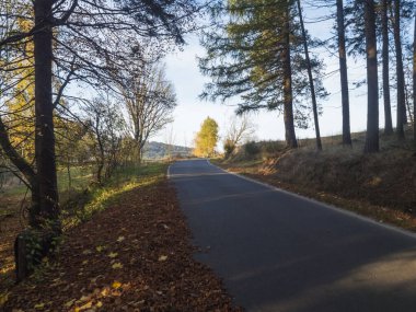 Asfalt yolu sonbaharda yaprakları dökülen meşe ve akçaağaç ve huş ağaçları ile dolu renkli yaprak döküntüleri arasında kıvrılıyor. Perspektif azalıyor, mavi gökyüzü beyaz bulutlar.
