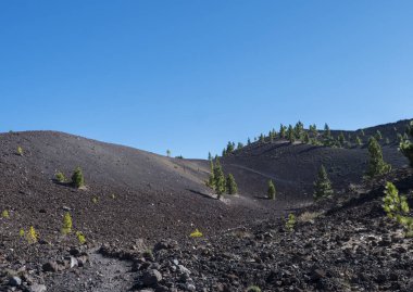 Bereketli yeşil çam ağaçları ve yol boyunca renkli volkanları olan güzel volkanik manzaralar Ruta de los Volcanes, La Palma adasında güzel yürüyüş yolları, Kanarya Adaları, İspanya, Mavi gökyüzü