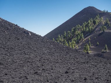 Bereketli yeşil çam ağaçları ve yol boyunca renkli volkanları olan güzel volkanik manzaralar Ruta de los Volcanes, La Palma adasında güzel yürüyüş yolları, Kanarya Adaları, İspanya, Mavi gökyüzü