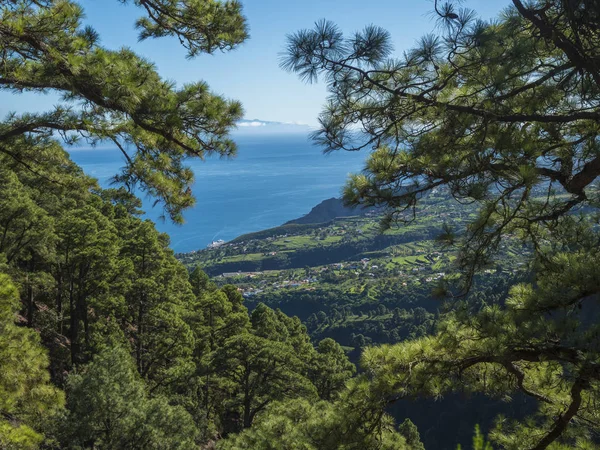 Θέα στο πανέμορφο καταπράσινο τοπίο από το μονοπάτι πεζοπορίας Barranco de la Madera με πευκοδάσος, χωριά, χωράφια, θάλασσα και γαλάζιο ουρανό. Νήσος La Palma, Κανάριοι Νήσοι, Ισπανία — Φωτογραφία Αρχείου