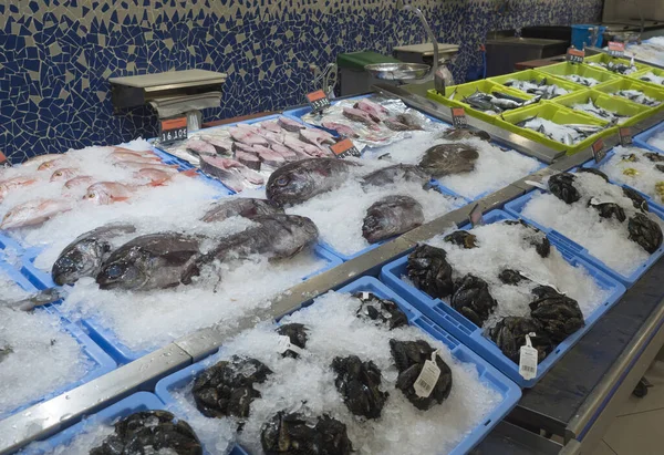 Brena Alta, La Palma, Canary Islands, Spain, December 21, 2019: Fresh chilled various seafood, fish and mussel lies on ice. Shop window with fish products for sale displayed at chain supermarket — Stock Photo, Image