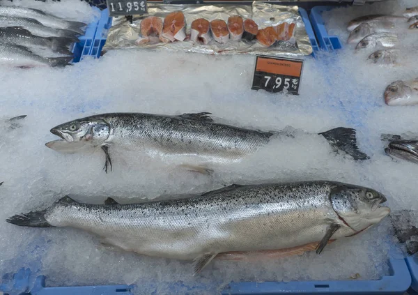 Brena Alta, La Palma, Canary Islands, Spain, December 21, 2019: Fresh chilled whole and sliced salmon lies on ice. Shop window with fish products for sale displayed at chain supermarket — Stock Photo, Image