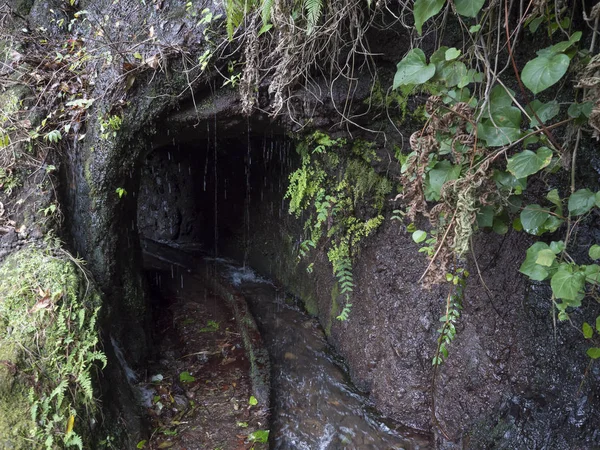 Entrada oscura al túnel de levada del conducto de agua en la ruta de senderismo Casa del Monte a Los Tilos en el misterioso bosque de laurel. Hermosa reserva natural en La Palma, Islas Canarias, España —  Fotos de Stock