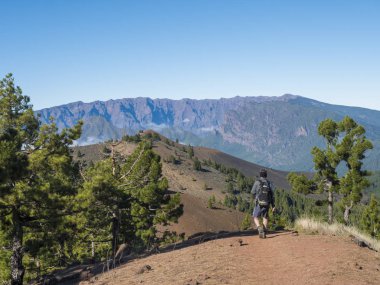 Volkanik manzara, yemyeşil çam ağaçları, renkli volkanlar ve lav kaya tarlası Ruta de los Volcanes yolu boyunca, La Palma adasında yürüyüş yolu, Kanarya Adaları, İspanya, Mavi gökyüzü arka planı