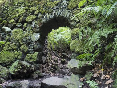 Eski taş su kemeri, Cubo de la galga doğa parkında su kanalı, güzel Laurel ormanının yolu, Laurisilva yemyeşil ormanları La Palma, Kanarya Adaları, İspanya