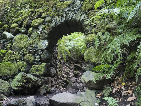 Eski taş su kemeri, Cubo de la galga doğa parkında su kanalı, güzel Laurel ormanının yolu, Laurisilva yemyeşil ormanları La Palma, Kanarya Adaları, İspanya