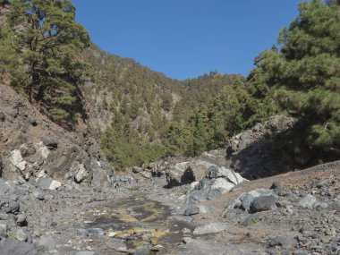 Barranco de las Angustias Kanyonu 'nun geçidinde Caldera de Taburiente, La Palma, Kanarya Adaları, İspanya yürüyüş parkurundaki küçük, neredeyse kuru su akıntısı..