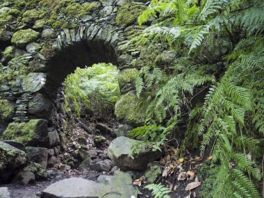 Eski taş su kemeri, Cubo de la galga doğa parkında su kanalı, güzel Laurel ormanının yolu, Laurisilva yemyeşil ormanları La Palma, Kanarya Adaları, İspanya