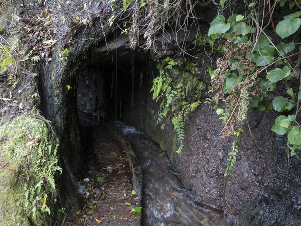 Dark entrance to the tunnel of water duct levada at hiking trail Casa del Monte to Los Tilos at mysterious laurel forest. Beautiful nature reserve on La Palma, Canary islands, Spain — Stock Photo, Image