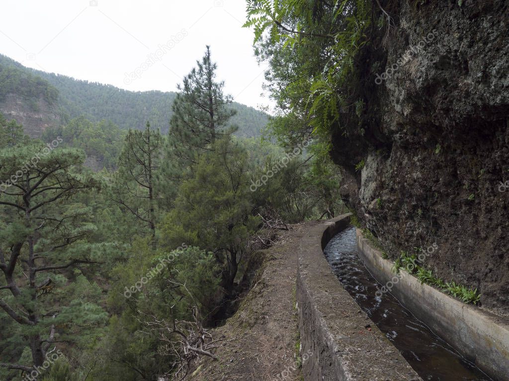 Path along levada, water duct at mysterious Laurel forest Laurisilva, lush subtropical rainforest at hiking trail Los Tilos, La Palma, Canary Islands, Spain