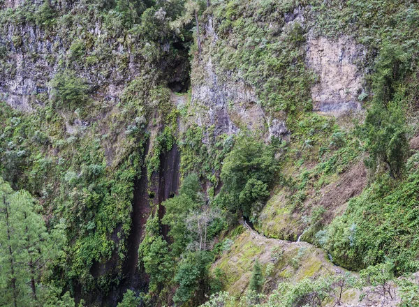 Vista aérea en la ruta de senderismo Casa del Monte a Los Tilos a lo largo de Levada y túnel de agua. Hermosa reserva natural en La Palma, Islas Canarias, España —  Fotos de Stock