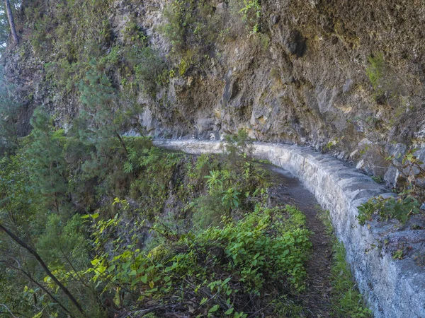 Stretto sentiero escursionistico Barranco de la Madera da Las Nieves con pineta e sentiero lungo burrone con ripide montagne verdi, Isola di La Palma, Isole Canarie, Spagna — Foto Stock