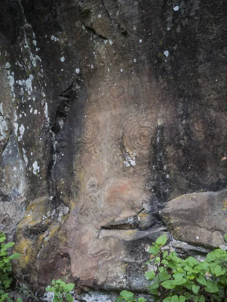 Petróglifo espiral esculpido em pedra no parque natural de La Zarza sítio arqueológico na floresta de Laurel, laurisilva na parte norte de La Palma, Ilhas Canárias, Espanha . — Fotografia de Stock