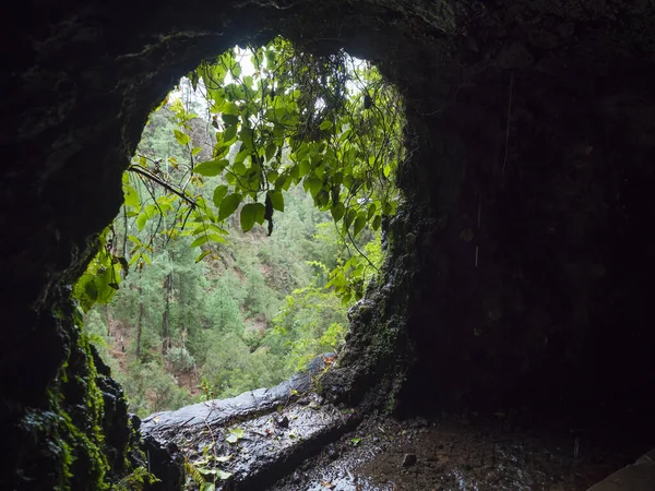 Vista desde el túnel del conducto de agua oscura a través del agua corriente hasta la exuberante selva en el sendero Los Tilos en el misterioso bosque de laurel. Hermosa reserva natural en La Palma, Islas Canarias, España — Foto de Stock