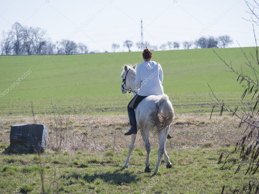 Young sport woman, redhead girl riding on white horse walking backwards at green spring field at city. Seen from back