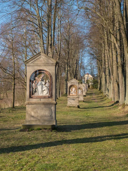 Kereszt állomások a bükkfa sugárútján Cvikov falu közelében. Kálvária kis kápolnákkal épült 1728-ban Johann Franz Richter. Zarándokhely Luzicke hory, Lusatian hegység, tavasz, kék ég — Stock Fotó