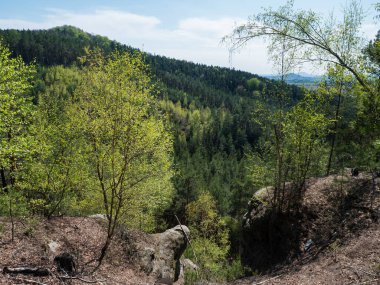 Lusatian Dağları 'ndaki bahar manzarası kumtaşı kayaları, yeşil tepeler, taze yaprak döken yapraklar ve çam ağaçlarından görülür. Mavi gökyüzü arkaplanı, yatay, kopyalama alanı