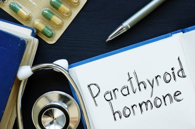 Kavramsal tıbbi fotoğrafta paratiroid hormonu gösterilir