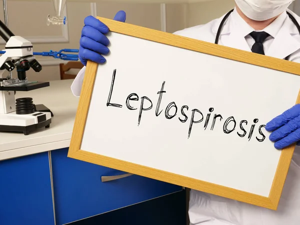 Leptospirosis Muestra Foto Médica Conceptual — Foto de Stock