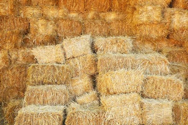 Straw stacked background — Stock Photo, Image