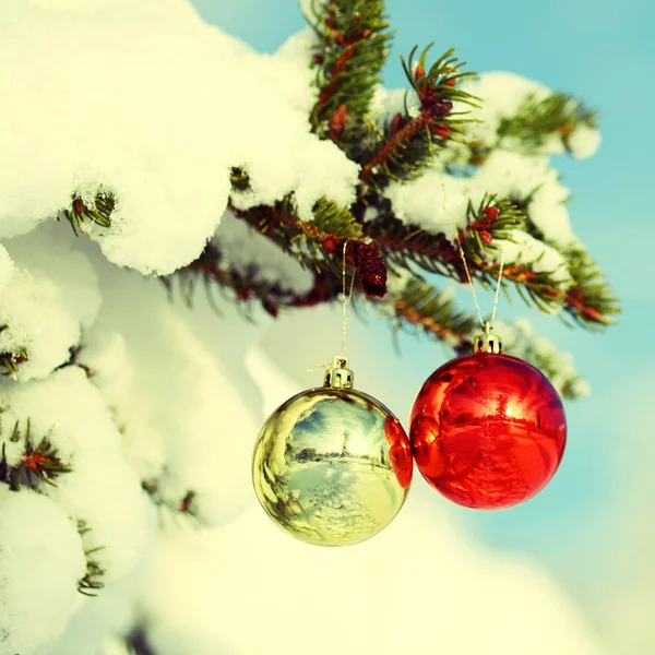 Karácsonyi labdák karácsonyfa ága hóval borított — Stock Fotó