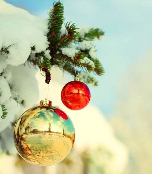 Karácsonyi labdák karácsonyfa ága hóval borított — Stock Fotó