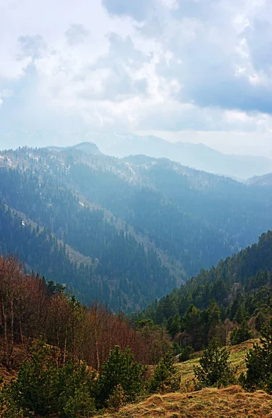 Springtime landscape of caucasus mountains with peaks covered by forest — Stock Photo, Image
