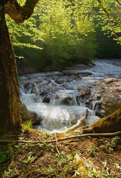 Paisaje primaveral de río de montaña con cascada pequeña sobre rocas —  Fotos de Stock