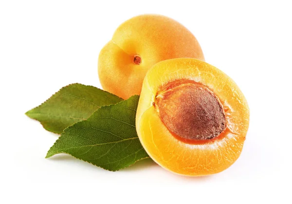 Спелые фрукты для здоровой жизни. Свежий абрикос с зелеными листьями — стоковое фото