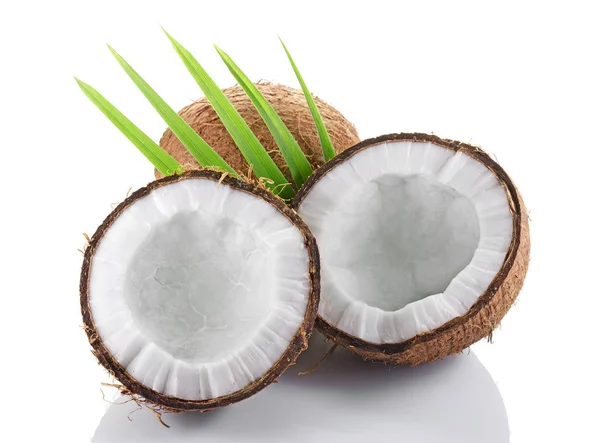 Hälsosam mat. Färsk kokosnöt med gröna palm lämnar — Stockfoto