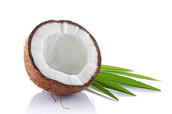 Hälsosam mat. Färsk kokosnöt med gröna palm lämnar — Stockfoto