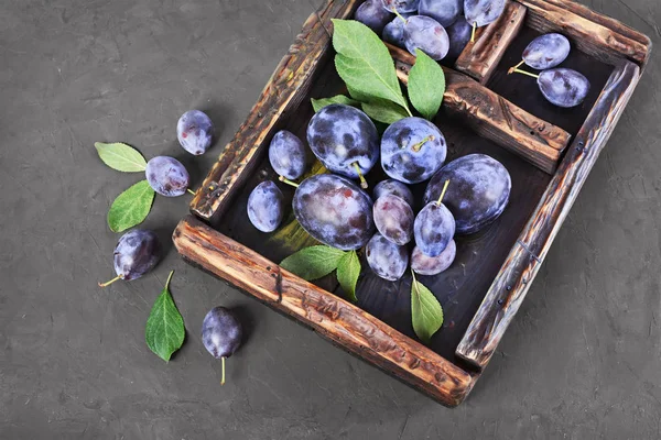 Zdravé jídlo. Detailní pohled čerstvých zralých švestek v vintage dřevěné krabičce — Stock fotografie