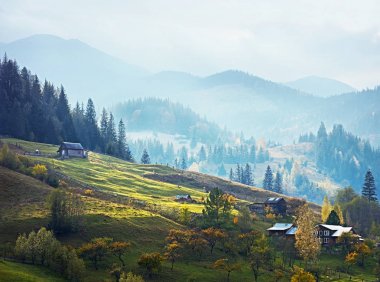 Ukrayna Karpatlar güzel sisli sabah dağ manzarası