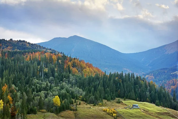 Horská krajina krásné zatažené v ukrajinských Karpatech — Stock fotografie