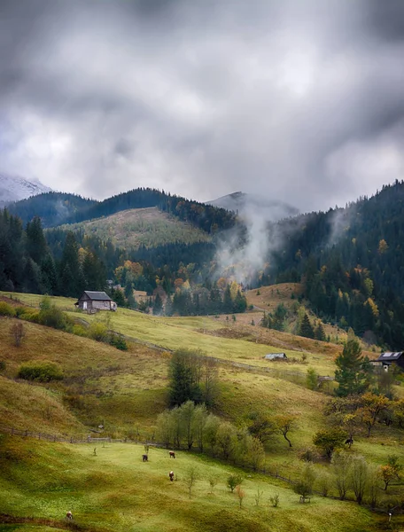 Paysage de montagne de belle matinée brumeuse dans les Carpates ukrainiennes — Photo