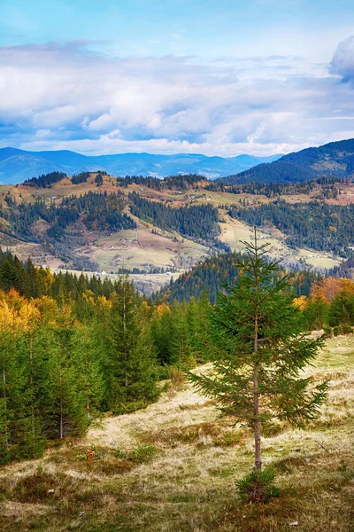 Mountain landscape of beautiful sunny day in the Ukrainian Carpathians — Stock Photo, Image