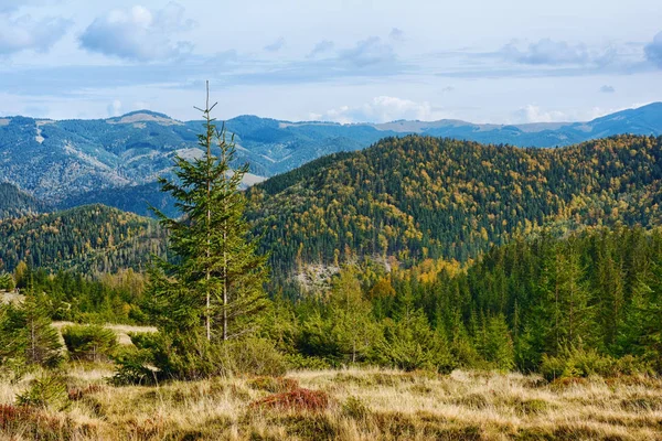 Mountain landscape of beautiful sunny day in the Ukrainian Carpathians — Stock Photo, Image