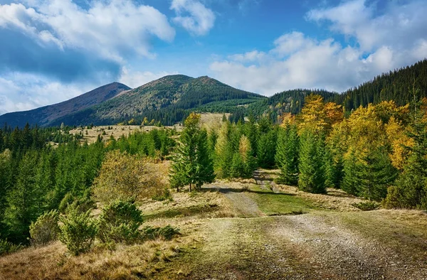 Berglandschap van mooie zonnige dag in de Oekraïense Karpaten — Stockfoto