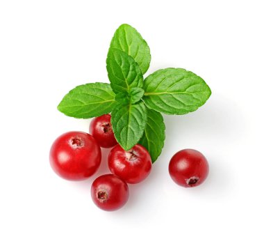 Yakın çekim taze sulu cranberries sağlıklı vegan beslenme için nane ile